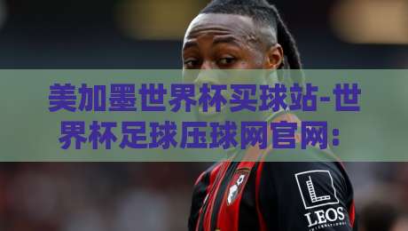 美加墨世界杯买球站-世界杯足球压球网官网: 2026年球迷必看的官方投注指南