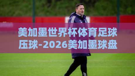 美加墨世界杯体育足球压球-2026美加墨球盘网排名：深度解析热门平台与投注趋势
