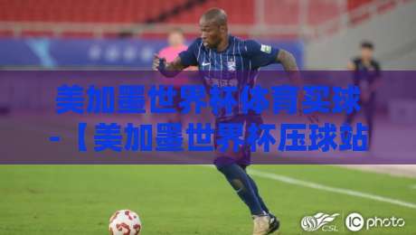美加墨世界杯体育买球-【美加墨世界杯压球站代理】2026年新手入门全攻略